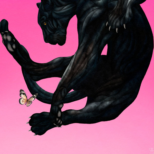 'Cats at Play - Panther' Print