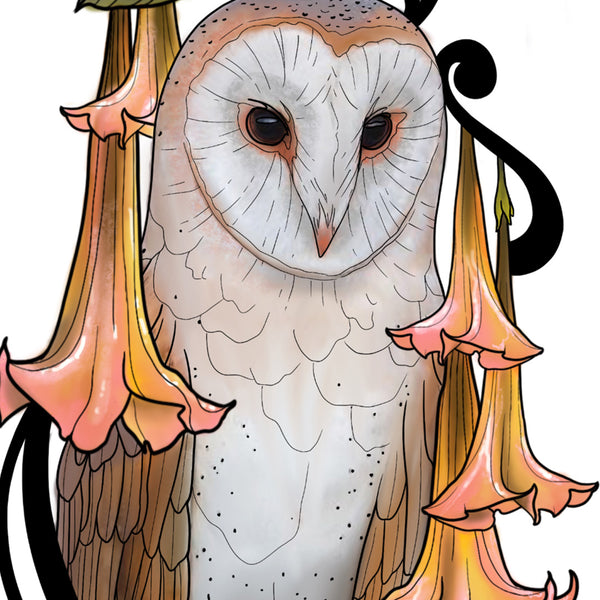 'Owl' Print