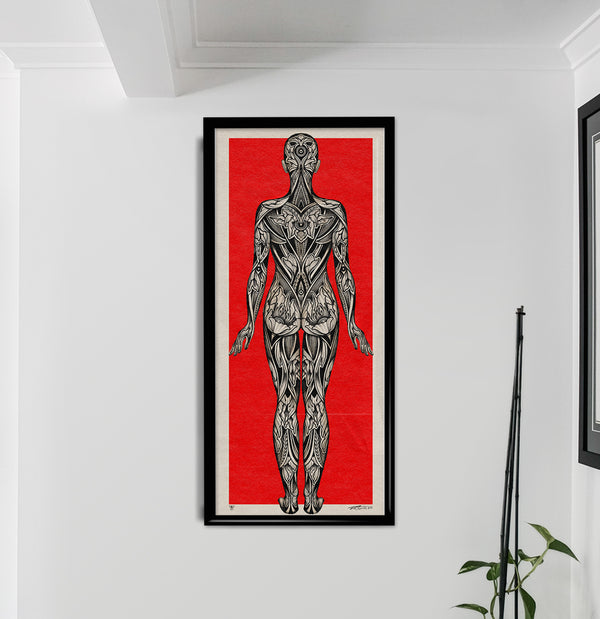 'Anatomical' Print