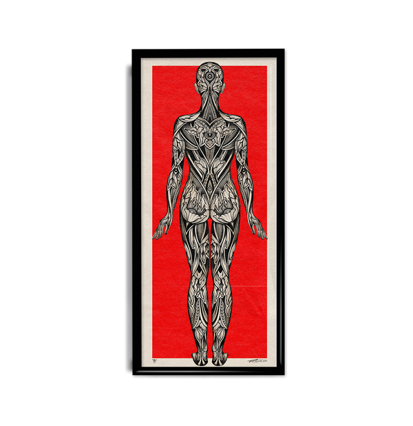 'Anatomical' Print