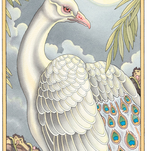 'Peacock' Print